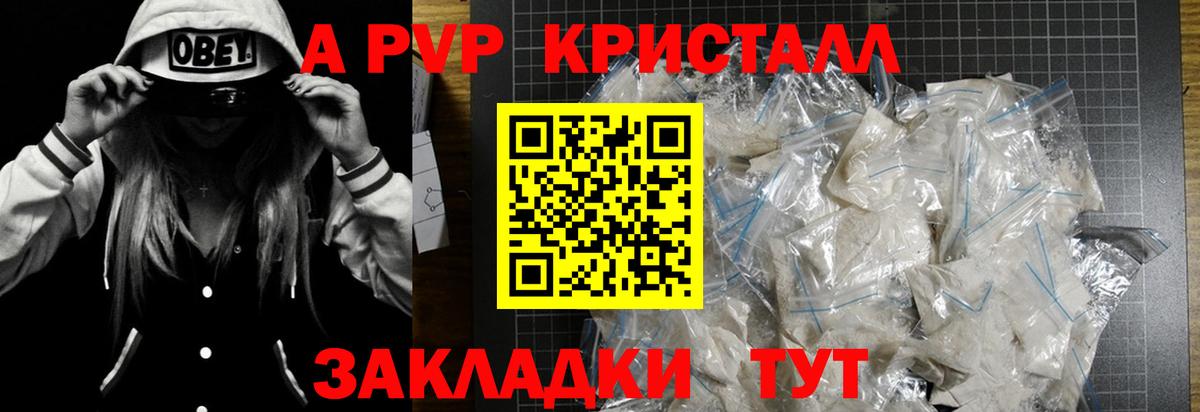 Alpha PVP СК КРИС Курчалой