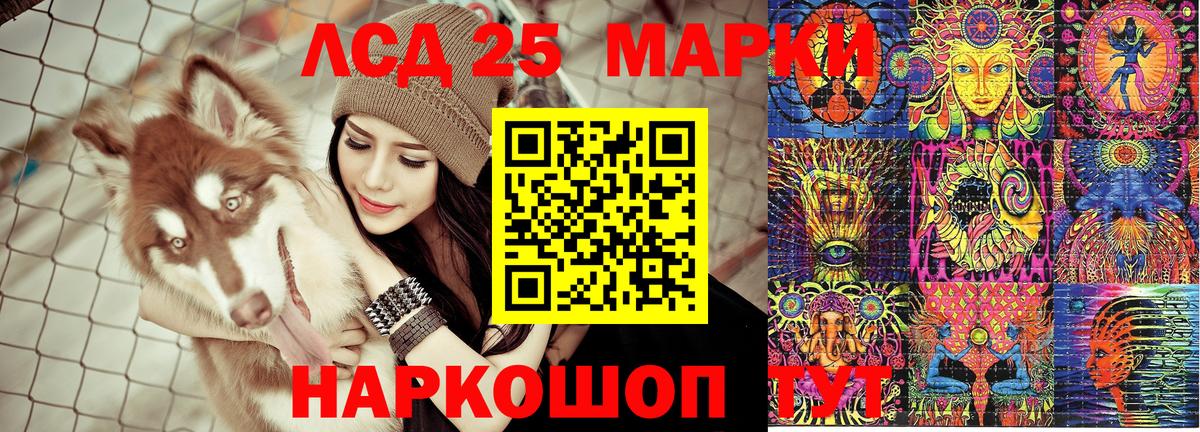 Наркотические марки 1500мкг  Наркотические марки 1500мкг  Марки 25I-NBOMe  купить   Вход с VPN  Курчалой 