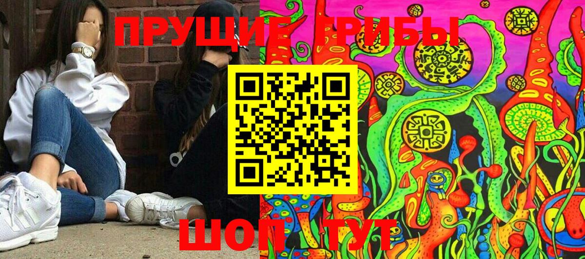 Курчалой  магазин продажи наркотиков  Вход с VPN  Галлюциногенные грибы мухоморы  Псилоцибиновые грибы мицелий 